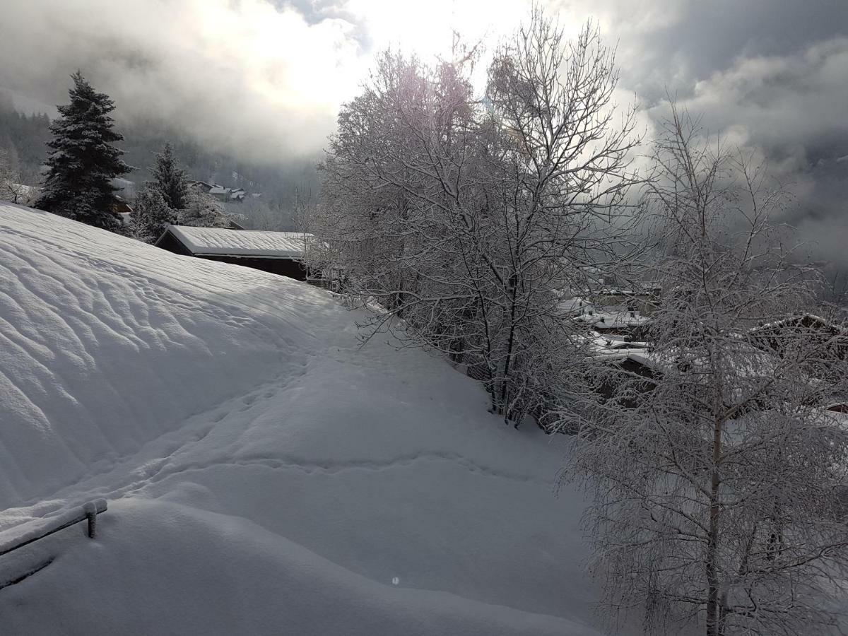Arpege Des Neiges Apartment Sainte-Foy-Tarentaise Bagian luar foto